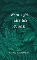 When Light Fades Into Stillness 3690801370 Book Cover