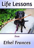 Life Lessons from a Tail Wagging Dog 0988239418 Book Cover