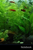 Notebook: Acquario, Pesci, Pesci Ornamentali, Neon Pesce taccuino / agenda / quaderno delle annotazioni / diario / libro di scrittura / carnet / zibaldone - 6 x 9 pollici (15,24 x 22,86 cm), 150 pagin 1706998023 Book Cover
