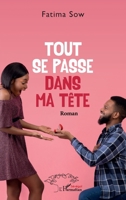 Tout se passe dans ma tête: Roman (Harmattan Sénégal) (French Edition) 214030960X Book Cover