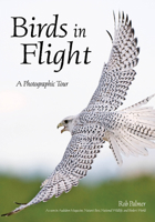 Birds in Flight 1682033880 Book Cover