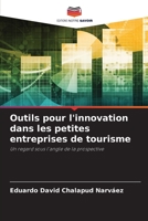 Outils pour l'innovation dans les petites entreprises de tourisme 6204599623 Book Cover
