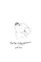 For The Wanderers B0882JH3TT Book Cover