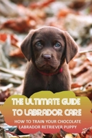 The Ultimate Guide To Labrador Care: How To Train Your Chocolate Labrador Retriever Puppy: Tips For Training A Chocolate Labrador Puppy B09BYDSY2K Book Cover