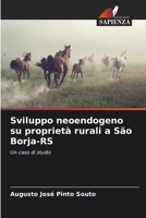 Sviluppo neoendogeno su proprietà rurali a São Borja-RS (Italian Edition) 6208626498 Book Cover
