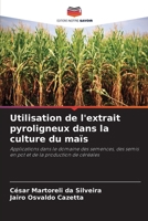 Utilisation de l'extrait pyroligneux dans la culture du maïs 6207306759 Book Cover