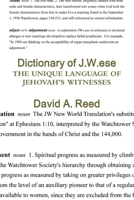 Dictionary of J.W.ese 0557226856 Book Cover