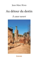 Au détour du destin (French Edition) 2414038969 Book Cover