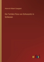 Die Tertiäre Flora von Schossnitz in Schlesien (German Edition) 3368022989 Book Cover