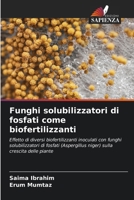 Funghi solubilizzatori di fosfati come biofertilizzanti (Italian Edition) 6207224469 Book Cover