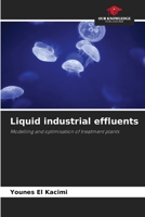 Liquid industrial effluents: Modelling and optimisation of treatment plants 6205884844 Book Cover