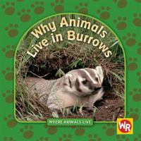 Why Animals Live in Burrows 083688793X Book Cover