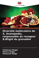 Diversité moléculaire de X. Axonopodis, responsable du ravageur B.Blight du grenadier 620958537X Book Cover