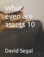 What even are assets 10 B0BPWC3B3M Book Cover