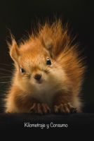 Kilometraje y Consumo: Bit�cora para el seguimiento de las lecturas del od�metro de su veh�culo personal o de negocios, niveles y compras de combustible, distancias recorridas y consumos B0849TVQ7F Book Cover