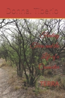 Finding Terra and the Life of a Councilor: TERRA (Finding Terra-The Life of a Councilmen) B0DVSTPVST Book Cover