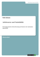 Adoleszenz und Suizidalität: Psychodynamische Krisenberatung im Kontext der stationären Jugendhilfe 3346414639 Book Cover
