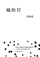 ??? (Chinese Edition) 7521211308 Book Cover