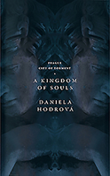 A Kingdom of Souls 0956889050 Book Cover