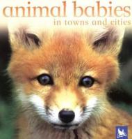 Animal Babies In Towns and Cities (Animal Babies) 0753458411 Book Cover