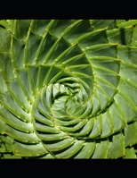 A Percy Chalker Case: Volume Seven B08R4953VJ Book Cover