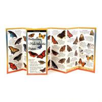 Common Butterflies of the Mid-Atlantic 1935380028 Book Cover