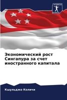 Экономический рост Синг& 6205792338 Book Cover
