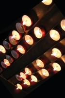 The diary of a union 1078342547 Book Cover