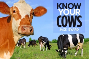 Know Your Cows (Old Pond Books) 44 Breeds from Aberdeen Angus to Wagyu, with Essential Facts on History, Country of Origin, Physical Characteristics, and More, plus Full-Page Photos of Each Breed 1912158469 Book Cover