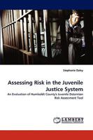 Assessing Risk in the Juvenile Justice System 3838351738 Book Cover