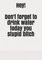 Hey! Don't forget to drink water today you stupid bitch B084DQG4ST Book Cover