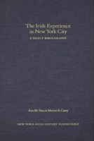 Irish Experience in NY City 0815681216 Book Cover