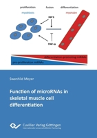 Function of microRNAs in skeletal muscle cell differentiation 3736993064 Book Cover
