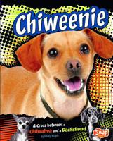 Chiweenie: A Cross Between a Chihuahua and a Dachshund 1429676671 Book Cover