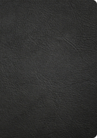 CSB Apologetics Study Bible, Revised & Updated, Easy-To-Read Optimal Type, Black Genuine Leather B0GZ9D5CBM Book Cover