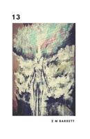 Thirteen 1088741851 Book Cover