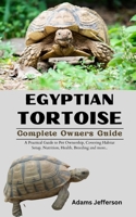 Egyptian Tortoise B0CVSLJ7QD Book Cover