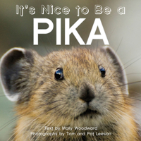 It's Nice to Be a Pika 1597143367 Book Cover