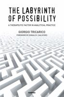 The Labyrinth of Possibility: A Therapeutic Factor in Analytical Practice 1782201769 Book Cover