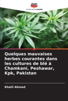 Quelques mauvaises herbes courantes dans les cultures de blé à Chamkani, Peshawar, Kpk, Pakistan (French Edition) 6208917670 Book Cover