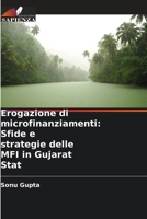 Erogazione di microfinanziamenti: Sfide e strategie delle MFI in Gujarat Stat (Italian Edition) 6206667618 Book Cover