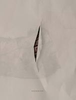 Design Behind Desire: The Sensuous Textures of Wanting 0983083150 Book Cover