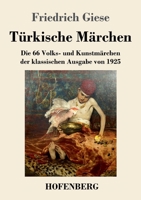 Türkische Märchen: Die 66 Volks- und Kunstmärchen der klassischen Ausgabe von 1925 3743746565 Book Cover