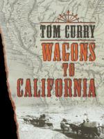 Wagons to California 0786277491 Book Cover