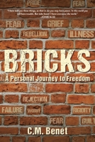 Bricks: A Personal Journey to Freedom 1685702449 Book Cover