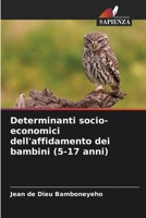 Determinanti socio-economici dell'affidamento dei bambini (5-17 anni) 6204128469 Book Cover
