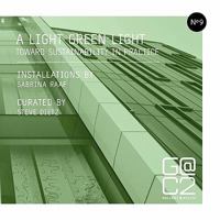 A Light Green Light: Toward Sustainability in Practice 0578062232 Book Cover