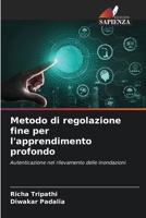 Metodo di regolazione fine per l'apprendimento profondo (Italian Edition) 6208110297 Book Cover