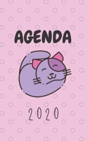 Agenda 2020: Agenda couverture girly chat, petit format de poche de janvier � d�cembre 2020, semainier 7 jours par double page, aper�u hebdomadaire et calendrier 2020, en fran�ais 1710903260 Book Cover