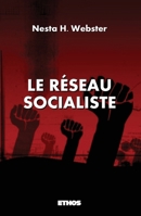 Le Réseau socialiste (French Edition) B086PV21XX Book Cover
